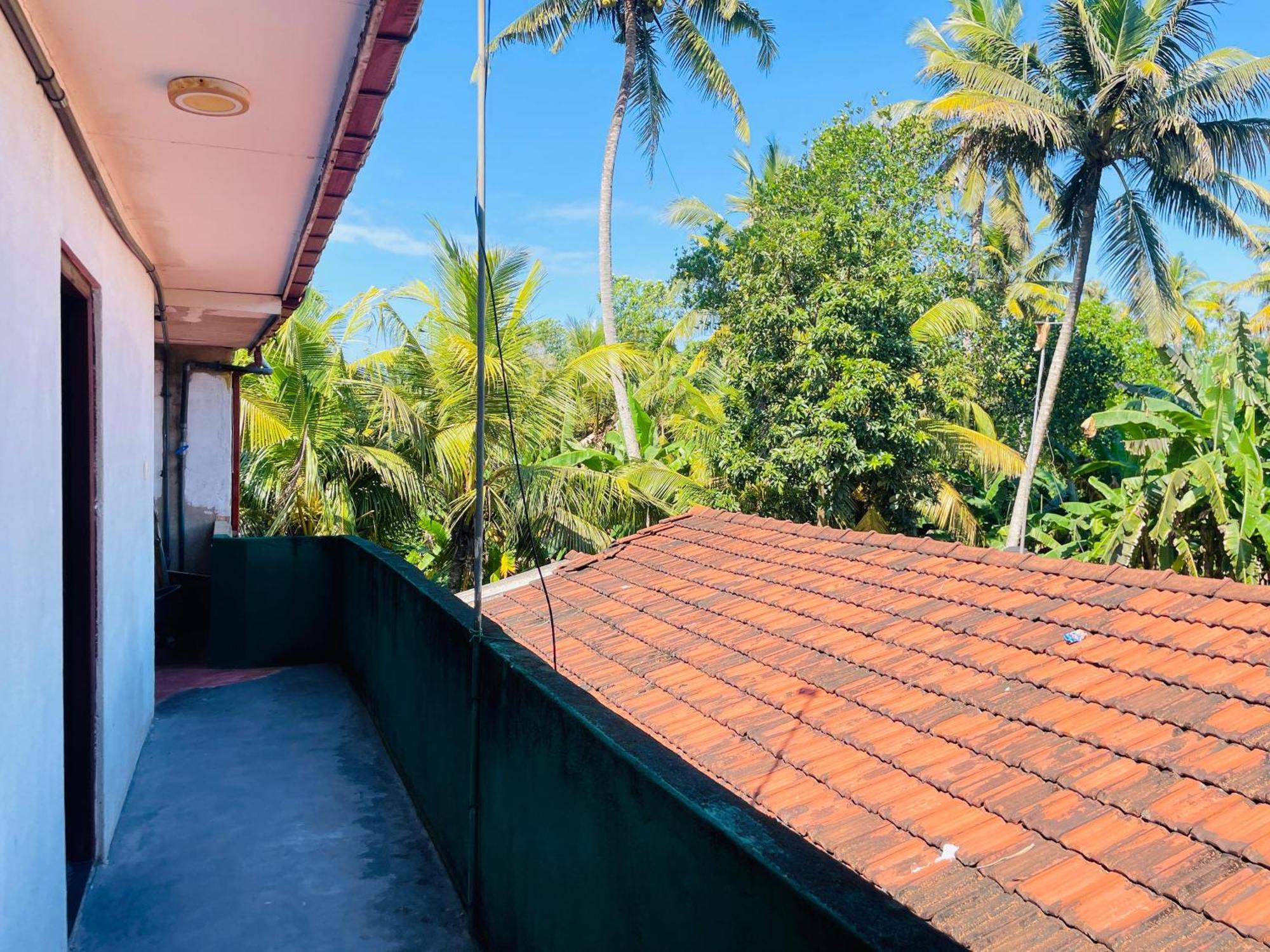 Séjour chez l'habitant Mango Shade *